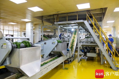 堅(jiān)持創(chuàng)新驅(qū)動 白沙兩企業(yè)入選省科技型中小企業(yè)名單