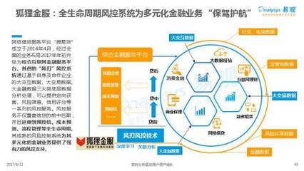 2017中國互聯網金融行業專題分析 互聯網數據服務的崛起與挑戰